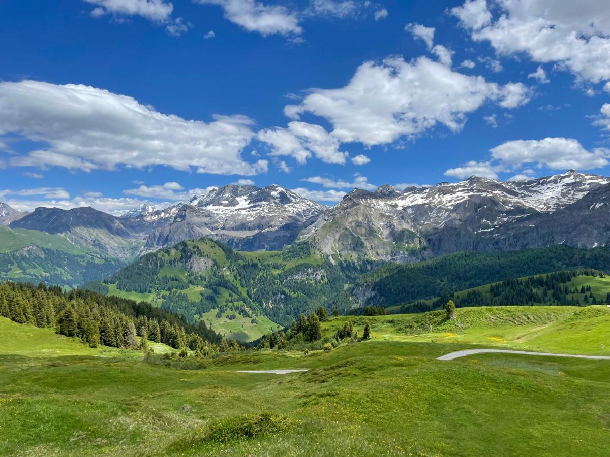 Sonnegg - Reimers - Vogel Zweisimmen
