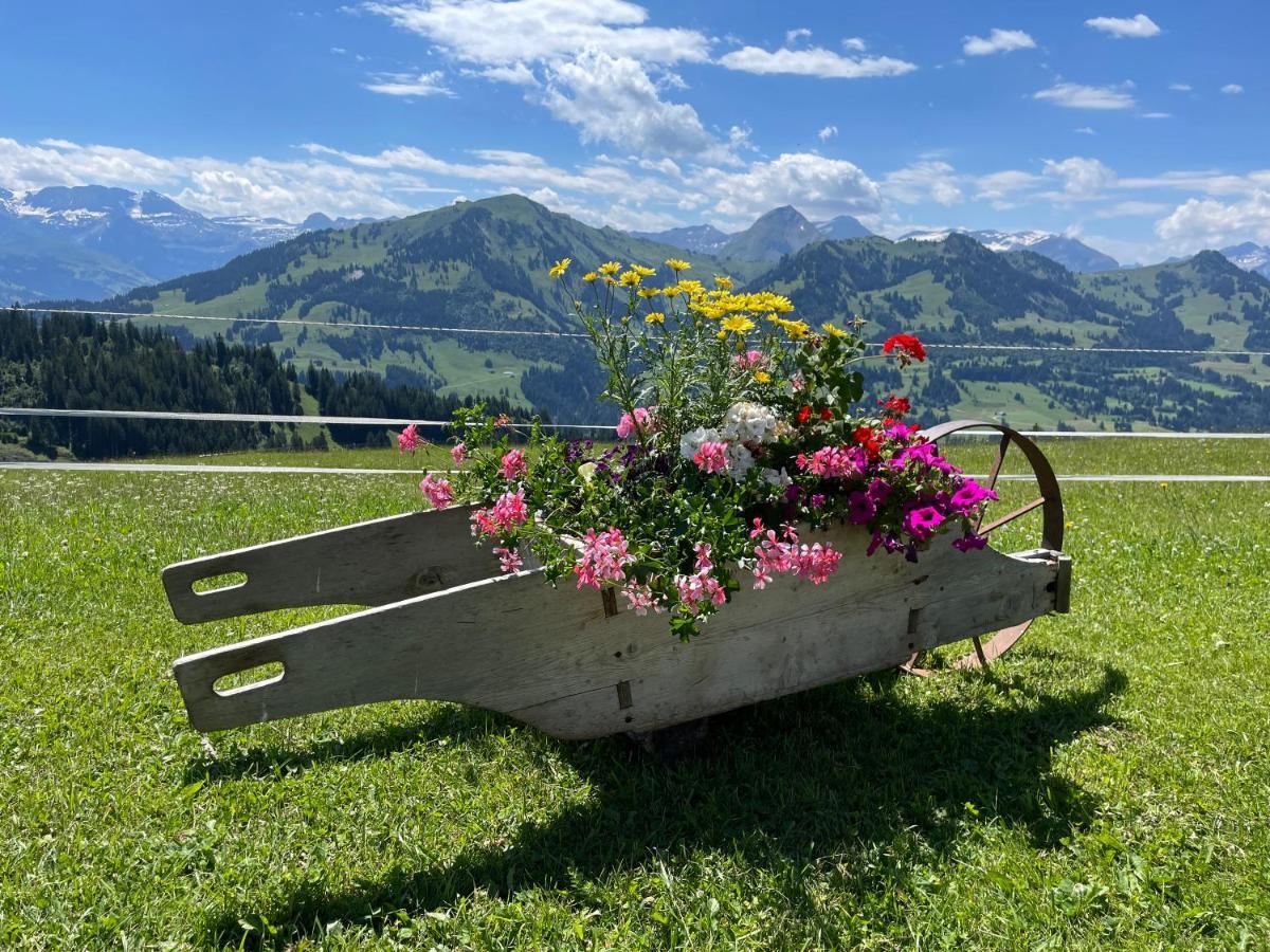Apartment Sonnegg - Reimers - Vogel Zweisimmen